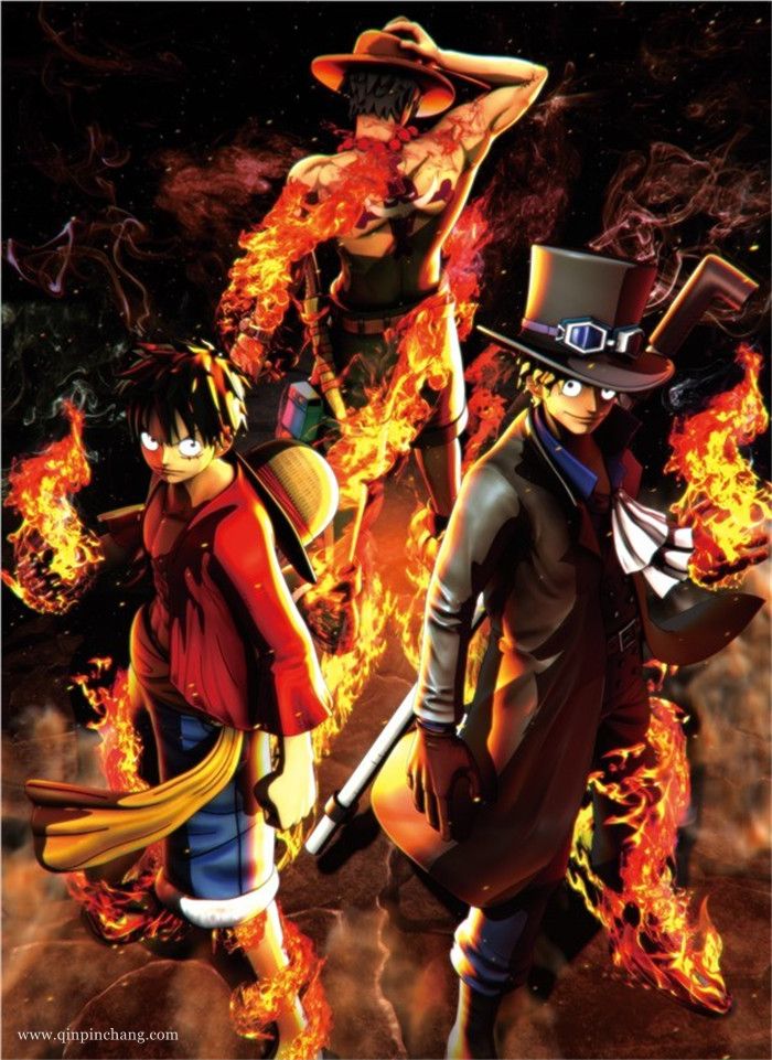 海贼王:燃烧之血中文版下载