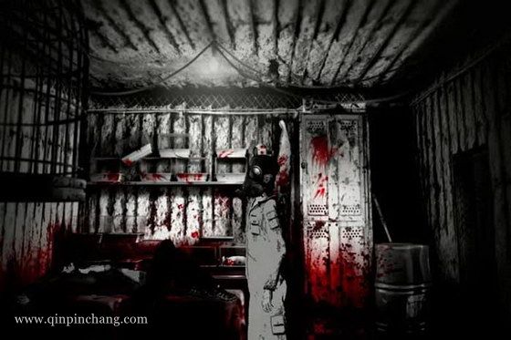 猫夫人(猫小姐)下载