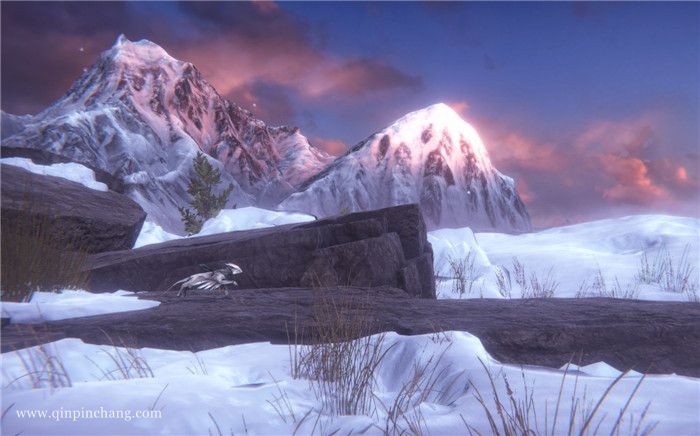 米瑞姆的灰烬下载