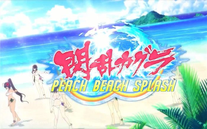 闪乱神乐:沙滩戏水下载