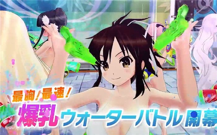 闪乱神乐:沙滩戏水下载