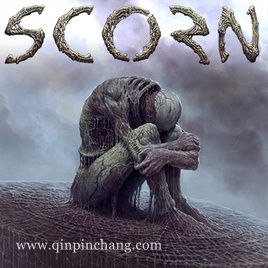 蔑视中文版下载