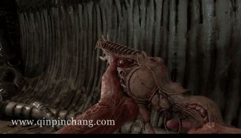 蔑视中文版下载