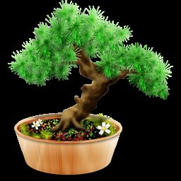 bonsai 2.6.1