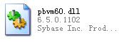 pbvm60.dll 官方版 www.qinpinchang.com