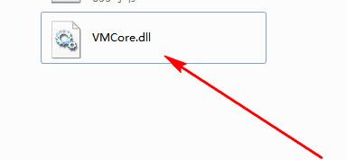 VGCore.dll64位 官方版 www.qinpinchang.com
