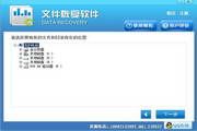 龙腾Recuva数据恢复软件 中文免费版