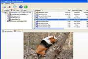 Easy NTFS Data Recovery 3.0