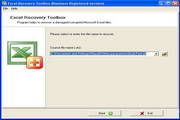 Excel Recovery Toolbox 1.7.32