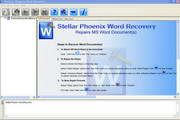 Stellar Word Recovery 4.1.0.0