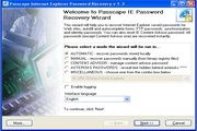 Internet Explorer Password Recovery 5.0.0.505