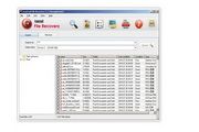 IconCool File Recovery 2.0 Build 100701