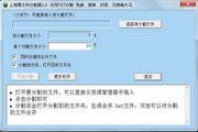上海青文件分割器 2011