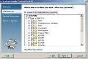 EZ Backup Google Chrome Pro 6.42