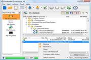 Backup4all Professional 5.5.839