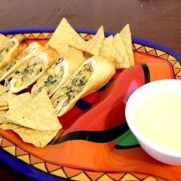 CopyCat 1.0 Build 25