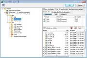 DFIncBackup Home 2.9.8.3
