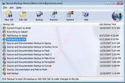 Secura Backup Professional 3.09