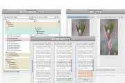 Araxis Merge For Mac 2014.4459
