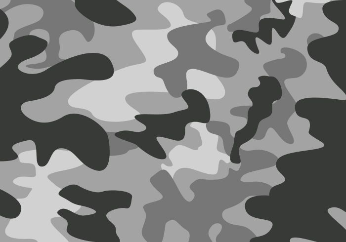 Camouflage 2.1.1