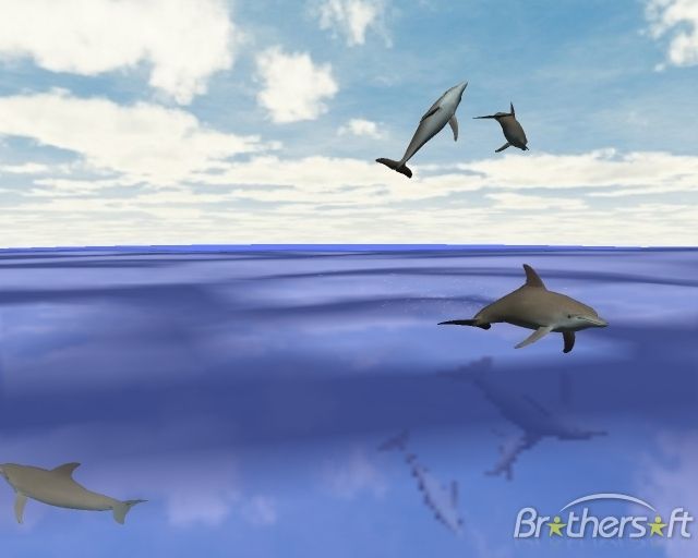 Desktop Dolphins 3D Screen saver 1.1.1