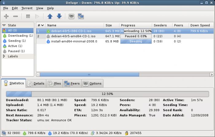 Deluge 1.3.1