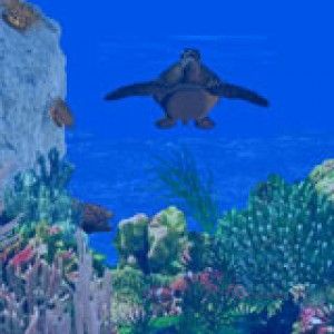 3D Sea Turtle Paradise 5.1