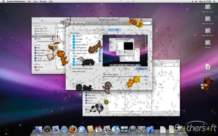 3D Desktop Kitty Cats Screen Saver For Mac 1.0.2