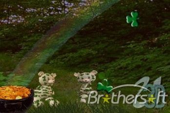 3D Dancing Shamrock Teddy Bear 4.2