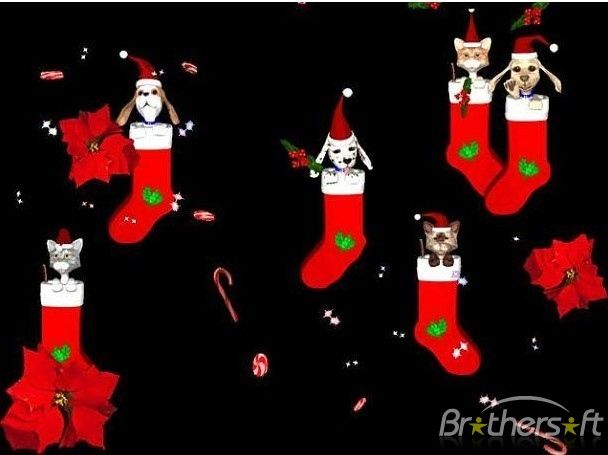 3D Christmas Puppies and Kittens 2.3