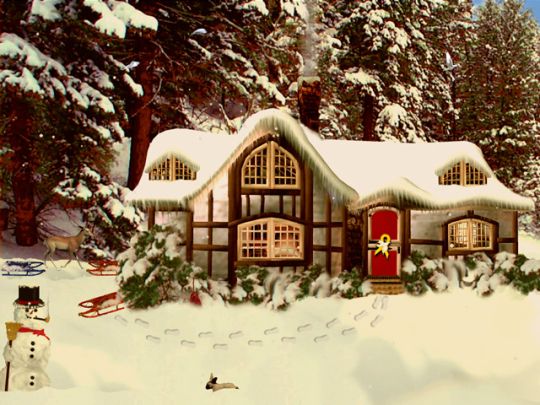 3D Snowy Woodland Cottage 3.4