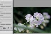 Rawker For Mac 2.3.6