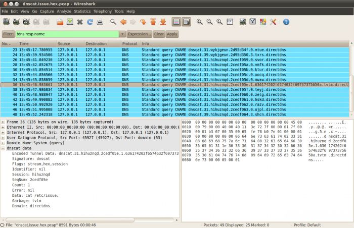 DNScat 0.01