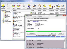 Download Manager 1.4.9