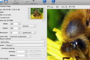 PhotoZoom Pro For Mac 6.0.8