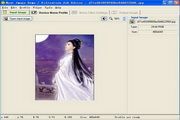 Neat Image For Mac 7.6