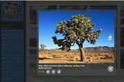 VisualLightBox For Mac 5.9