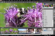 Musemage For Mac 1.9.6.5363