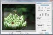 Alien Skin Blow Up For Mac 3.0.0.712