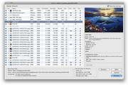 LinkOptimizer For Mac 4.9.54
