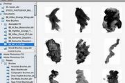 Brush Pilot For Mac 1.0.3
