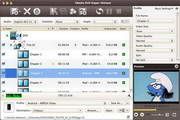 4Media DVD Ripper Ultimate for Mac 7.0.0.1121