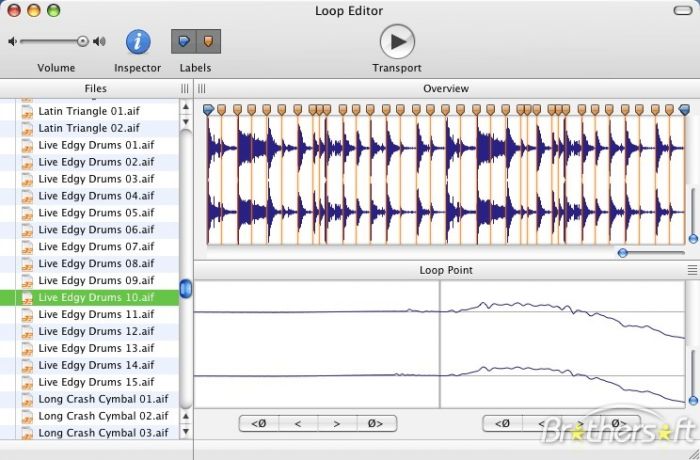 Loop Editor Plus 1.5.0 Build 3385
