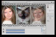 MorphAge for MAC 4.1.3