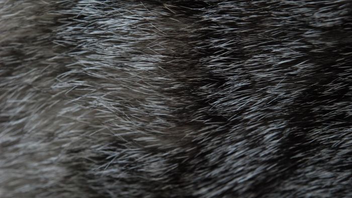 Textures 2.2.0 Beta 16