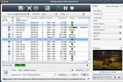 4Media DVD to MP4 Converter For Mac 6.0.3.0521