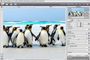 AKVIS Magnifier For Mac 8.0