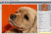 AKVIS Noise Buster For Mac 9.0