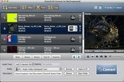 icoolsoft AVI Converter for Mac 5.0.8