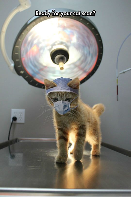 Crazy CAT Scan 1.0